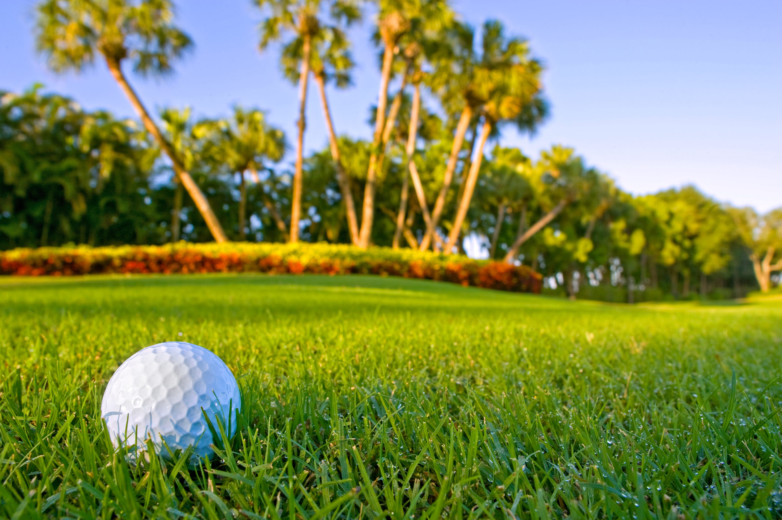 Love to Golf? Take a Trip to These Must-Visit Courses near St. Augustine
